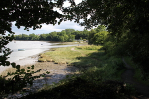 View from Alexandra Gardens