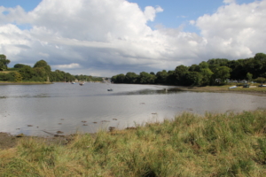 View across the Teifi from the Pinog
