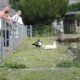Visitors beside the mill pond